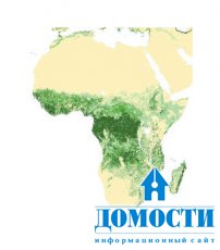 Многообразие функций африканских лесов
