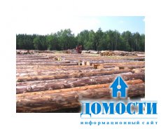 Импорт древесного сырья малазийскими деревообрабатывающими компаниями