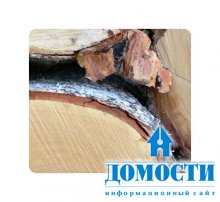 Вопрос о пошлине на российскую древесину решен