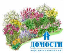 Проекты цветочных садов 