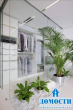 Свежий интерьер с комнатными растениями 