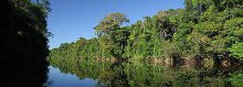 Наступление цивилизации на лес Амазонки