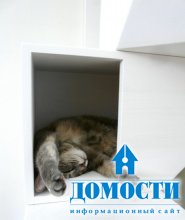 Современный кошачий дом