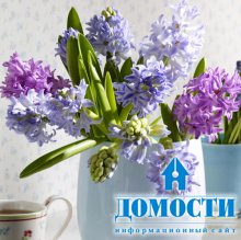 Синие цветы в интерьере дома