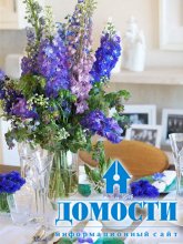 Синие цветы в интерьере дома