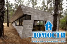 Лесной дом из бетона 